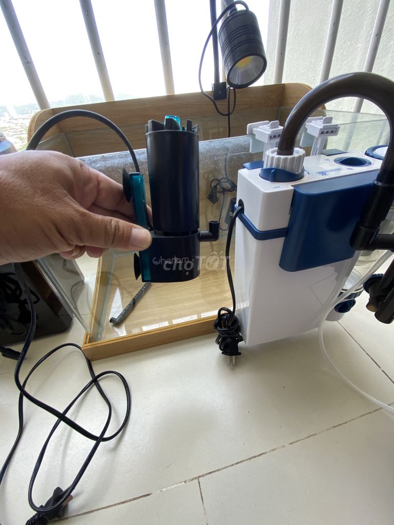 Bể cá cảnh 50x60 kèm phụ kiện lọc thùng Dophin. Mua bán Phụ kiện, Thức ăn, Dịch vụ tại Thành phố Vũng Tàu Bà Rịa - Vũng Tàu được đăng bởi tan hình 1