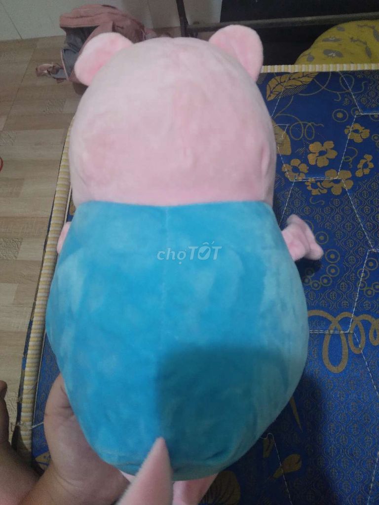 Gấu bông heo