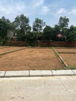 🔥 Còn Duy 1 LÔ 100m2 full thổ cư khẩu Sóc Sơn, Hà Nội. Giá hơn 80. Mua bán đất tại Huyện Sóc Sơn Hà Nội được đăng bởi Dung Nguyen