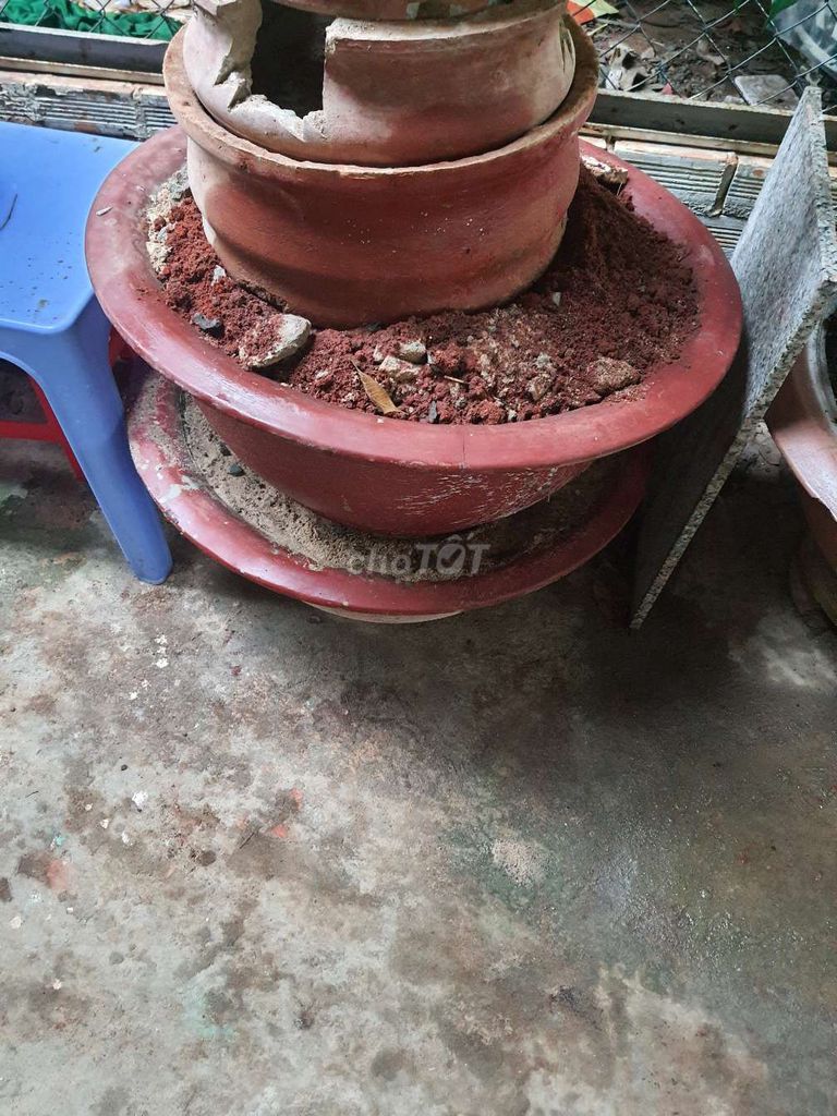 Chậu kiểng Đất nung Đỏ đất Chậu 7, 8. Mua bán Cây cảnh, đồ trang trí tại Huyện Hàm Thuận Bắc Bình Thuận được đăng bởi Phương hình 1