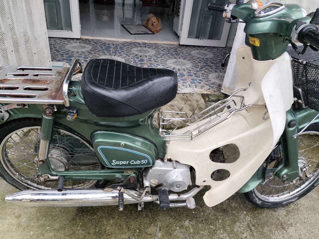 Xe cup81 1981 đời đầu đẹp bao chạy giá 12,5tr. Mua bán Xe máy tại Huyện Bình Chánh Tp Hồ Chí Minh được đăng bởi Trương Hoàng Tuấn hình 4