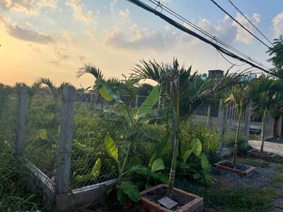 MẶT TIỀN  ĐƯỜNG BÙI VĂN SỰ - DT  15,5M X 35M - DÂN ĐÔNG ĐÚC  - 4.3 TỶ. Mua bán đất tại Huyện Bình Chánh Tp Hồ Chí Minh được đăng bởi Hồ Kim Yến
