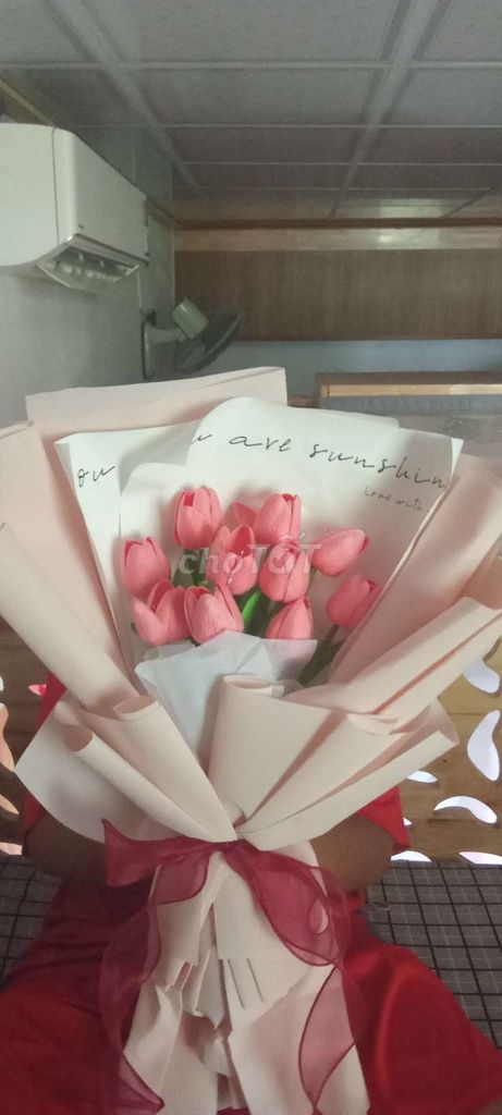 Bó hoa tulip Bông sứ màu Hồng. Mua bán Cây cảnh, đồ trang trí tại Thành phố Bà Rịa Bà Rịa - Vũng Tàu được đăng bởi Phi Yến hình 1