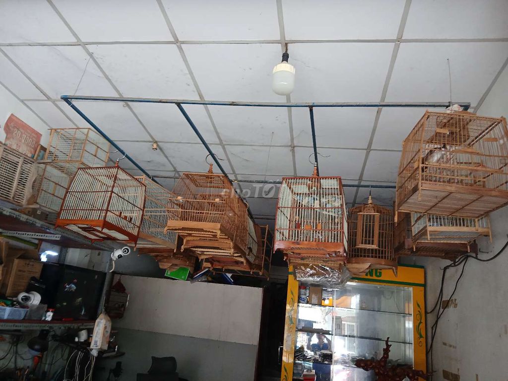 Lồng chim gỗ chào mào, mi, khướu. Mua bán Phụ kiện, Thức ăn, Dịch vụ tại Huyện Củ Chi Tp Hồ Chí Minh được đăng bởi nghèo mà có tình  hình 1