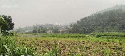 Plot of land 1080 m² · TL87A