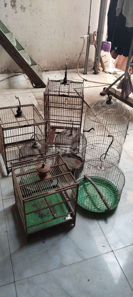 lồng chim . Mua bán Phụ kiện, Thức ăn, Dịch vụ tại Huyện Hóc Môn Tp Hồ Chí Minh được đăng bởi Hiển Nguyễn  hình 1