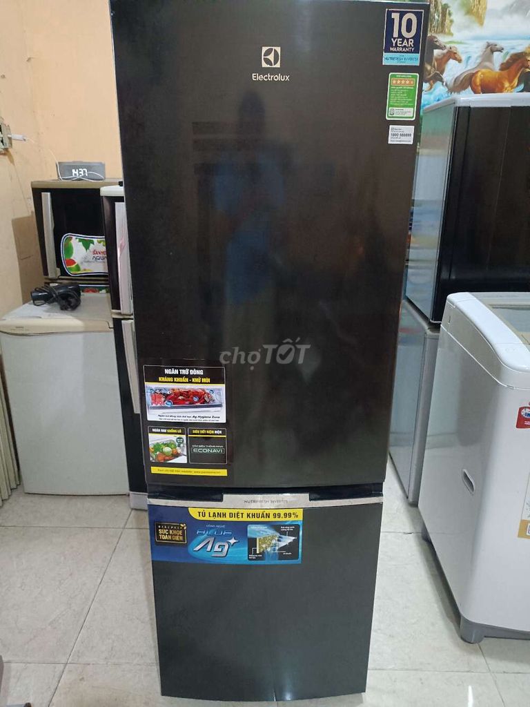 Tủ lạnh electrolux inverter 250l