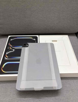 iPad Pro M4 13 inch 256GB Wifi Gray New seal - 133467112