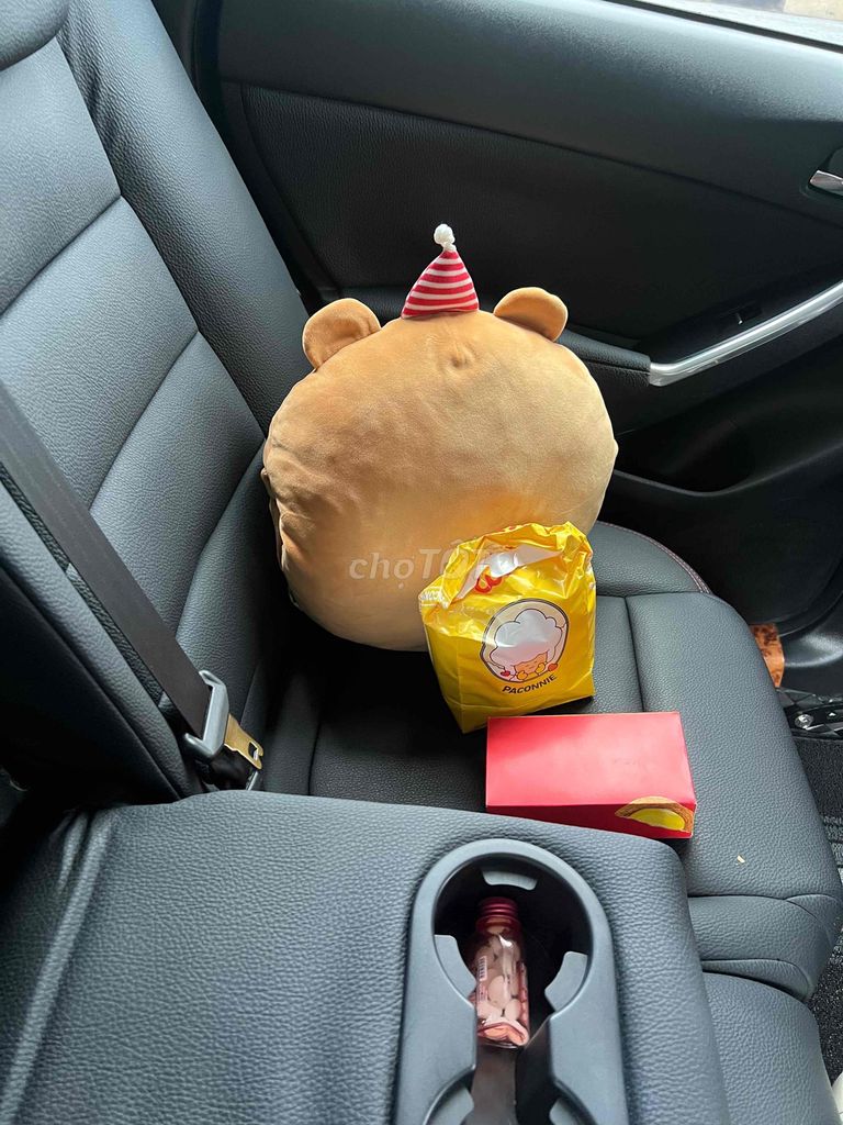 Ảnh số 6