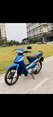 dàn áo wave hãng full keo