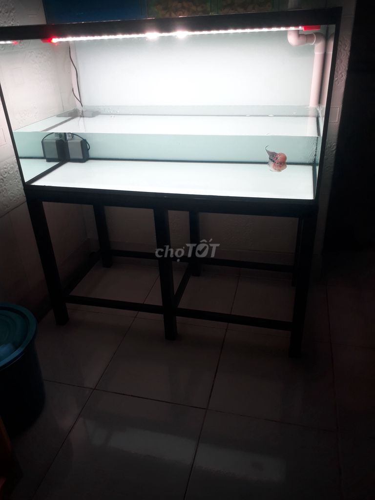 Trọn bộ mới keng 1m×50×50 full 8 li lọc đèn mayin