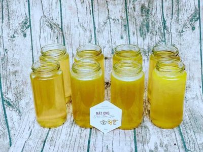 Mật ong bạc hà, mật ong hoa xuyến, mật hoa cà phê. Mua bán Đồ ăn, thực phẩm và các loại khác tại Quận Hai Bà Trưng Hà Nội được đăng bởi Hạt Gu Seed