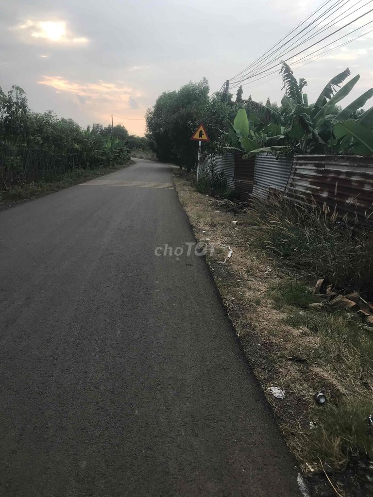 cần bán đất nông nghiệp , diện tich 2250m2 , đã có sổ hồng. Mua bán đất tại Huyện Trảng Bom Đồng Nai được đăng bởi luu thi thanh huong hình 4