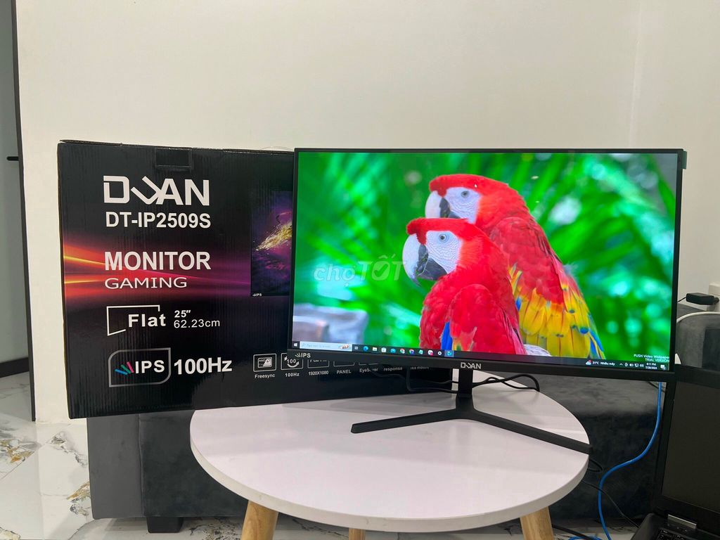 MÀN HÌNH GAMING DUAN IP2509S 100HZ IPS NEW