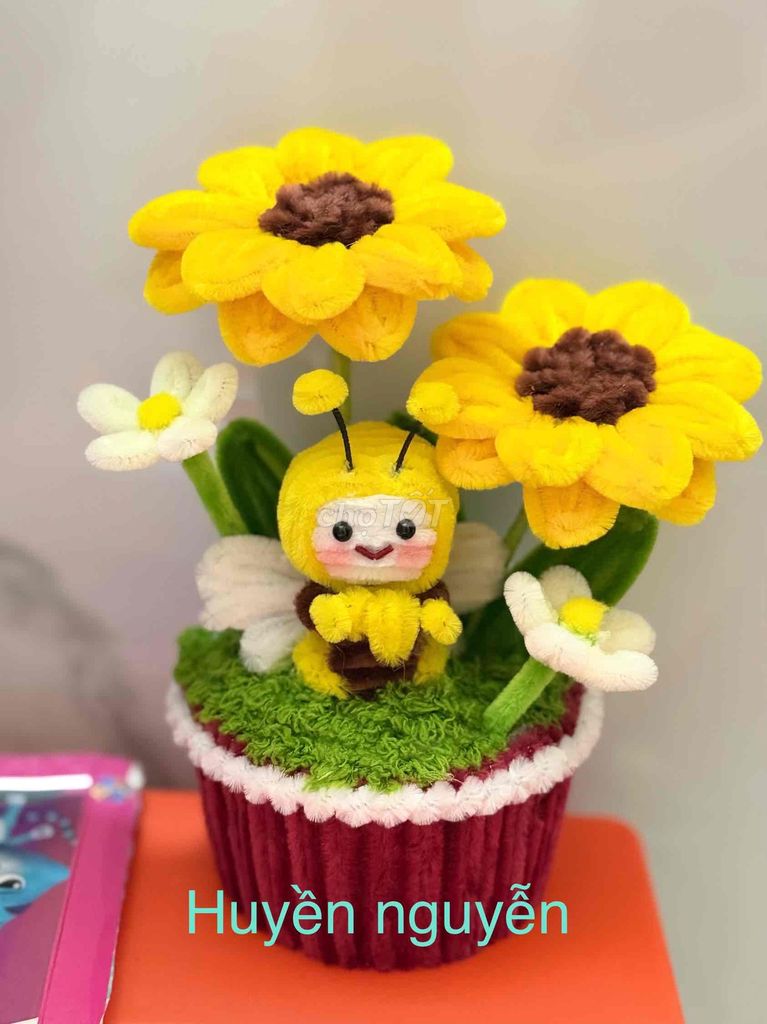 chậu hướng dương con ong. Mua bán Cây cảnh, đồ trang trí tại Quận 5 Tp Hồ Chí Minh được đăng bởi Nguyễn Thị Thu Huyền hình 1