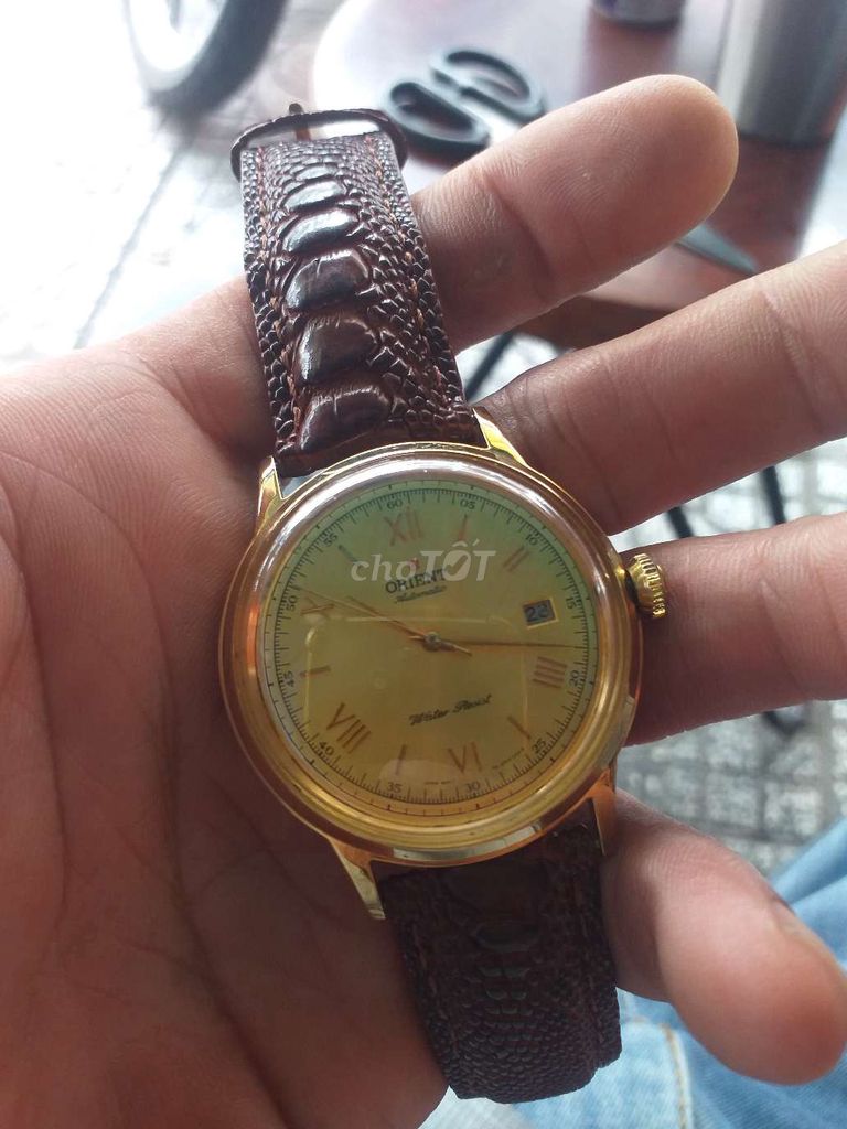 Orient bambino automatic máy 4694 japan 🇯🇵