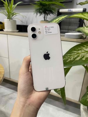 Iphone 12 128gb quốc tế - zin đẹp 99 pin 100%. Mua bán Điện thoại tại Huyện Hóc Môn Tp Hồ Chí Minh được đăng bởi Luân Hoài