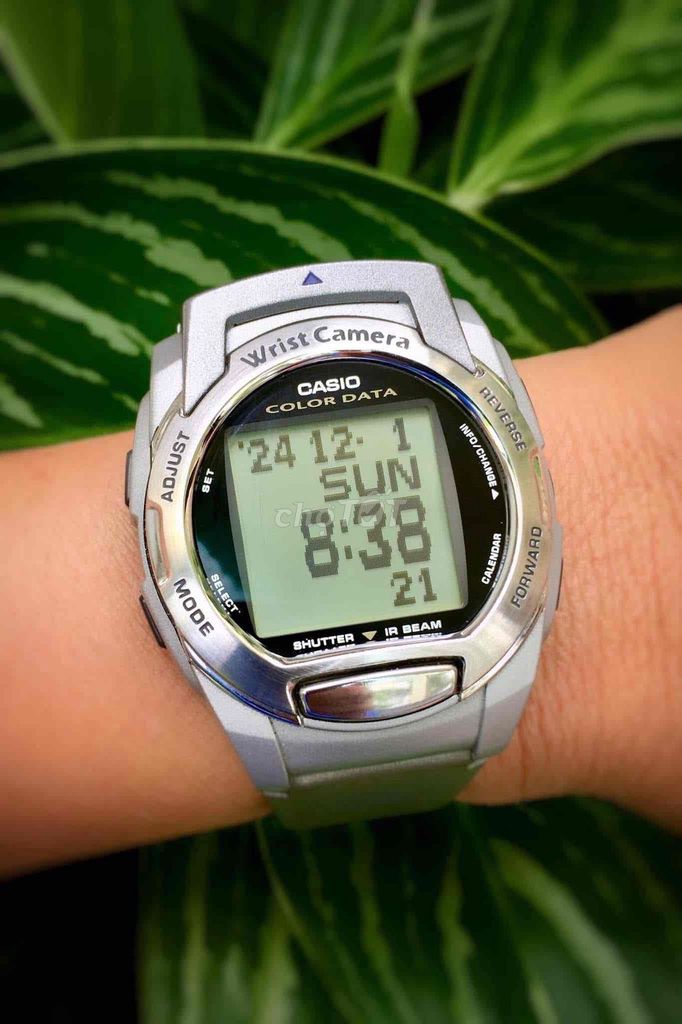 Đồng hồ Casio WQV-3 Nam Bạc. Mua bán Đồng hồ tại Huyện Đầm Dơi Cà Mau được đăng bởi Cường Nguyễn hình 1