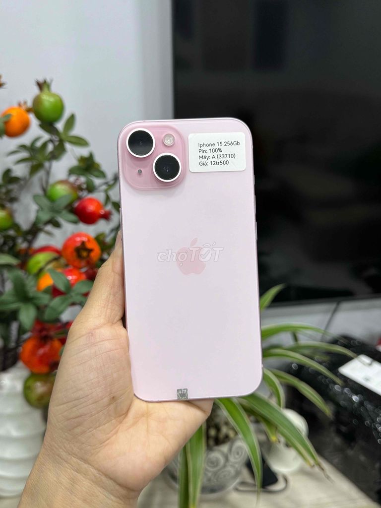 iPhone 15 256G Quốc tế Hồng P100 Zin Đẹp 99. Mua bán Điện thoại tại Huyện Hóc Môn Tp Hồ Chí Minh được đăng bởi Nguyễn Thu hình 1