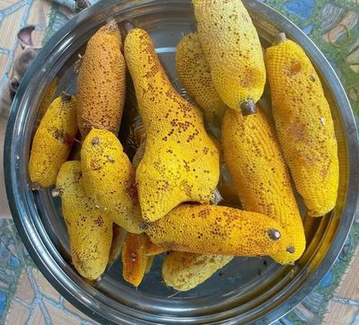 MẬT ONG RUỒI – THƠM NGON, ĐẮT XẮT RA MIẾNG.. Mua bán Đồ ăn, thực phẩm và các loại khác tại Quận Bình Tân Tp Hồ Chí Minh được đăng bởi Chang Chang