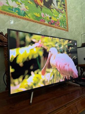 Bán Sony 50in coi YouTube, Netflix mượt. Mua bán Tivi, Âm thanh tại Quận Gò Vấp Tp Hồ Chí Minh được đăng bởi Hùng