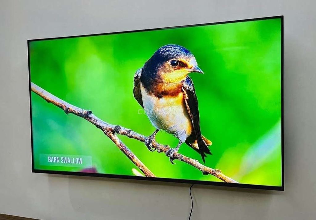 Tivi Samsung 50 inch Điều khiển giọng nói. Mua bán Tivi, Âm thanh tại Thành phố Bảo Lộc Lâm Đồng được đăng bởi Mr tốt hình 1