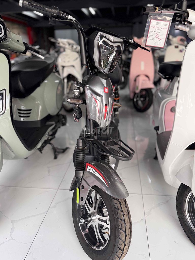 Bò điện” MOVE STRONGER mới 100%. Mua bán Xe điện tại Thành phố Thủ Dầu Một Bình Dương được đăng bởi Lê Văn Đức hình 1