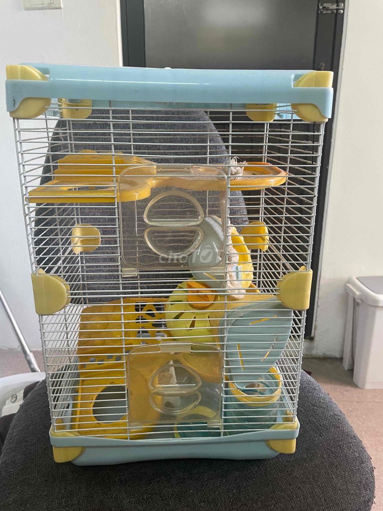 Lồng nuôi chuột hamster. Mua bán Phụ kiện, Thức ăn, Dịch vụ tại Quận Cầu Giấy Hà Nội được đăng bởi Tuyết Bạch hình 1