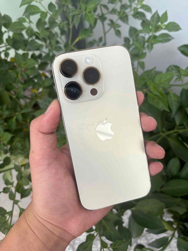 Apple iPhone 14 Pro 1TB Vàng 99%. Mua bán Điện thoại tại Quận Ninh Kiều Cần Thơ được đăng bởi CỬA HÀNG BÃO MOBILE hình 1