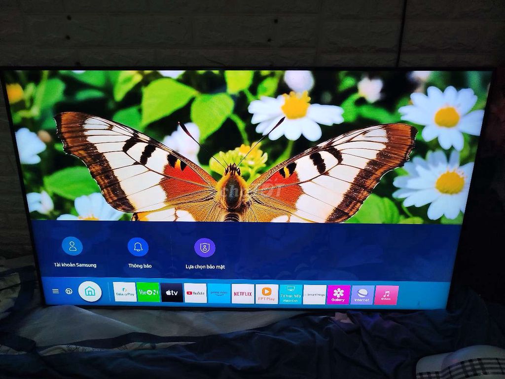 Samsung 55 TU8100 - Màn mới