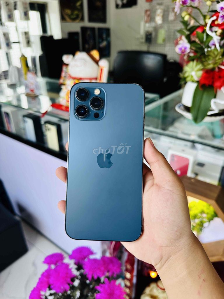 Apple iPhone 12 Pro Max 128GB Xanh. Mua bán Điện thoại tại Thị xã Phú Mỹ Bà Rịa - Vũng Tàu được đăng bởi Bi Táo hình 1