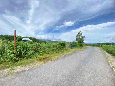 Bán 1 hecta đất Diên Xuân đường Liên Xã. Làm Farm hoặc chia lô.. Mua bán đất tại Huyện Diên Khánh Khánh Hòa được đăng bởi Nghĩa Phạm