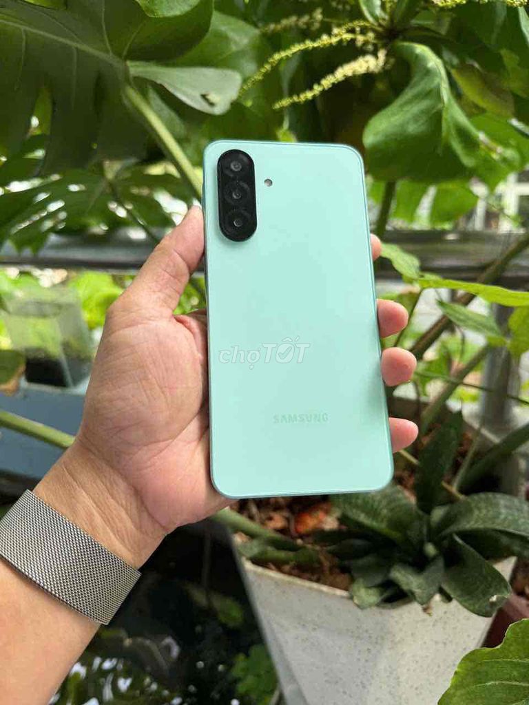 Samsung A26 5G 128GB Xanh có gluu. Mua bán Điện thoại tại Quận Thanh Khê Đà Nẵng được đăng bởi Cá Voi hình 1