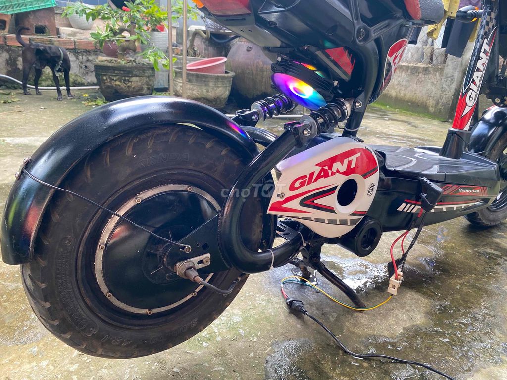 Gã e 133 có độ quạt kiểng. Mua bán Xe điện tại Huyện Thủ Thừa Long An được đăng bởi Quốc Dũng hình 6