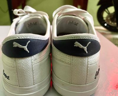 PUma chính hãng size 41 42 nhượng lại cho ai cần