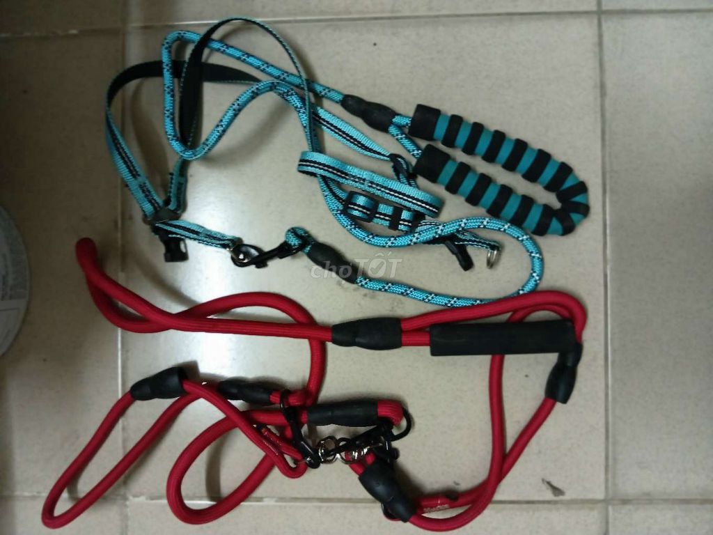 Dây dắt chó dây dù Đỏ, Xanh dương. Mua bán Phụ kiện, Thức ăn, Dịch vụ tại Quận Thanh Khê Đà Nẵng được đăng bởi Quocnghian Tran hình 1