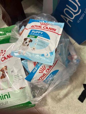 Thức ăn chó Royal Canin 800g