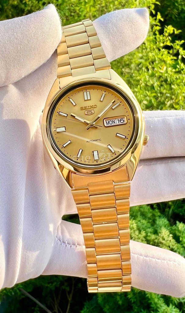 S.k 5 Classic toàn thân mạ Gold PVD