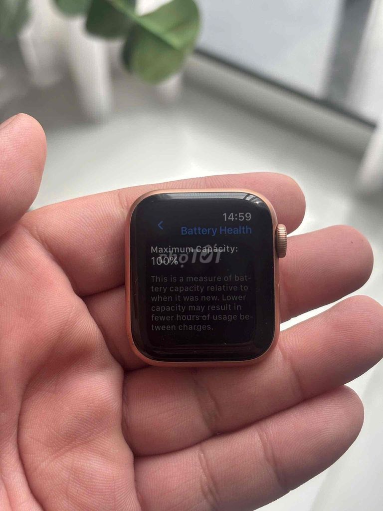Dư apple watch series 5