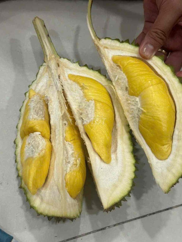 Sầu riêng Musang King. Mua bán Đồ ăn, thực phẩm và các loại khác tại Thành phố Biên Hòa Đồng Nai được đăng bởi Minh Tú hình 1