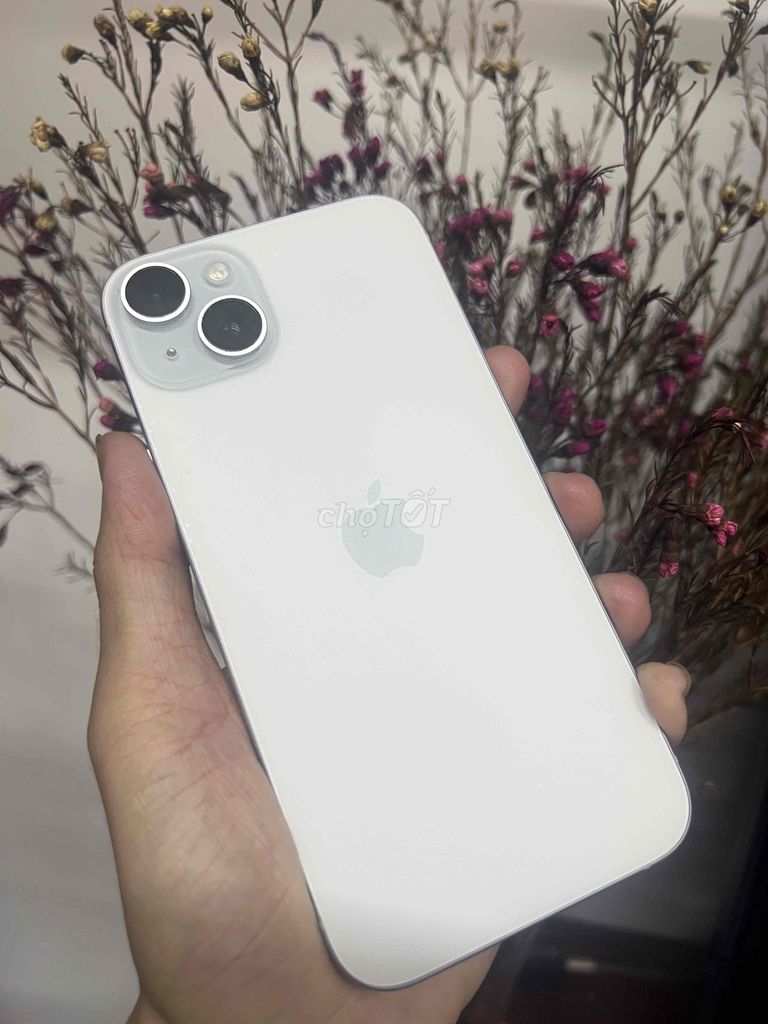 Bán 15Plus 128G Xanh.Máy Zin. Mua bán Điện thoại tại Huyện Hóc Môn Tp Hồ Chí Minh được đăng bởi huy hình 1