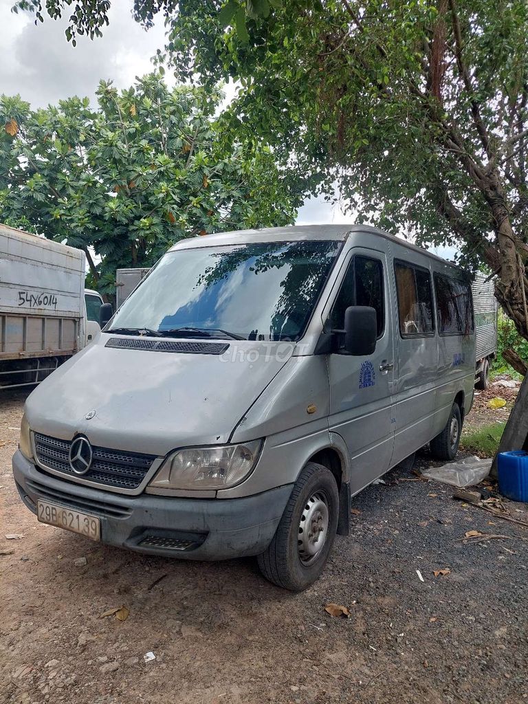 Ảnh số 5