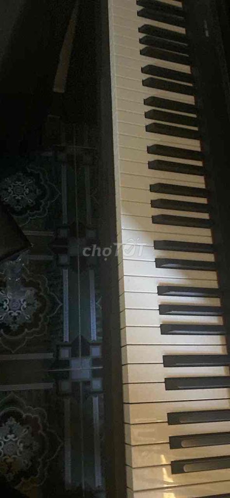 Đàn Piano điện Korg LP-180 Gỗ Đen. Mua bán Nhạc cụ tại Huyện Gia Lộc Hải Dương được đăng bởi Phương  hình 1