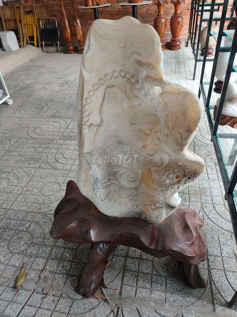 Vỏ sò tai tượng. Mua bán Đồ sưu tầm, đồ cổ tại Huyện Long Điền Bà Rịa - Vũng Tàu được đăng bởi Nhị Thiên Vương Tú hình 1