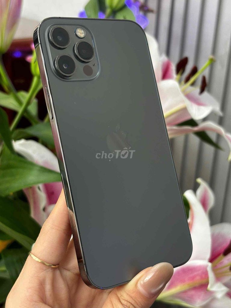 iPhone 12 Pro 256GB Xám 99% Pin New 100 Imei 61626. Mua bán Điện thoại tại Quận Ninh Kiều Cần Thơ được đăng bởi Quý Mobile Cần thơ hình 1