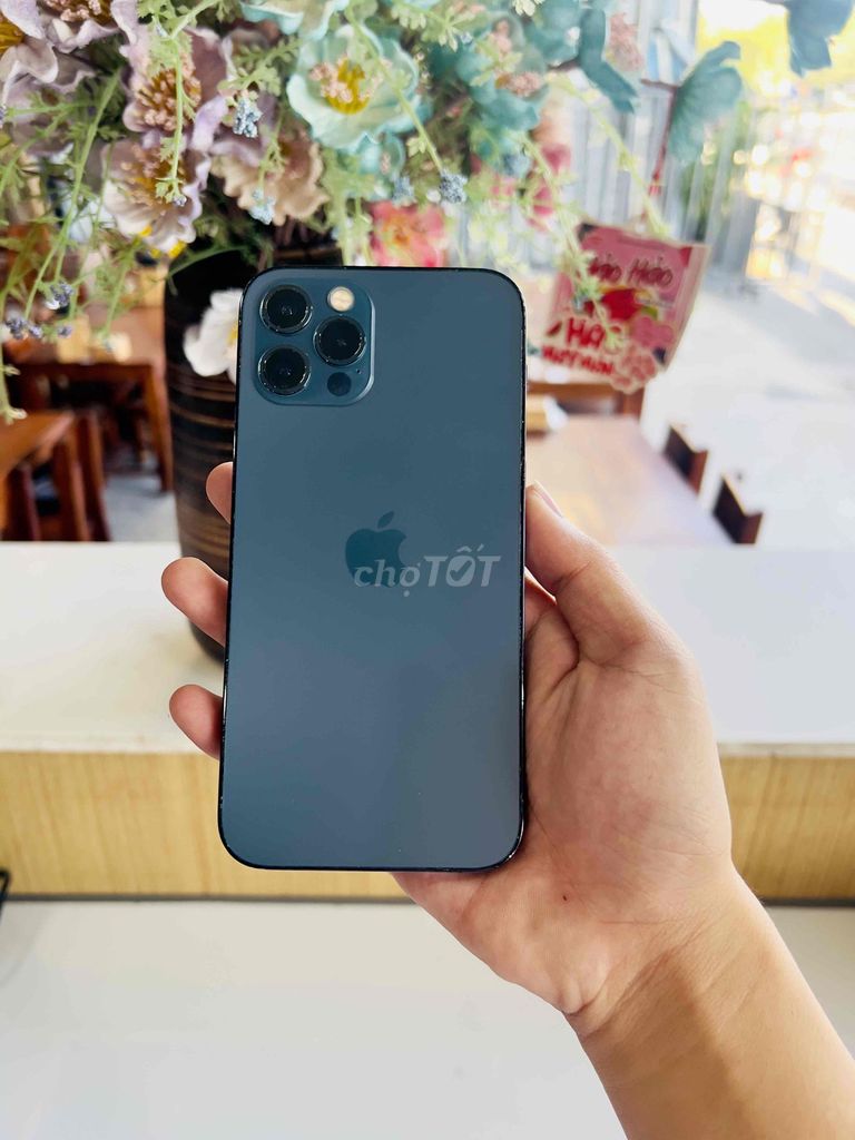 iphone 12pro 128G xanh blue. Mua bán Điện thoại tại Thị xã Phú Mỹ Bà Rịa - Vũng Tàu được đăng bởi Bi  hình 1