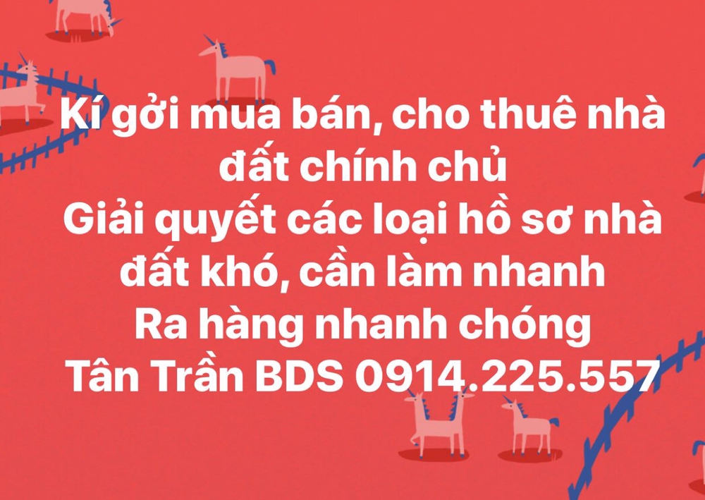 Tân Trần BDS chính chur Tân Trần BDS chính chur