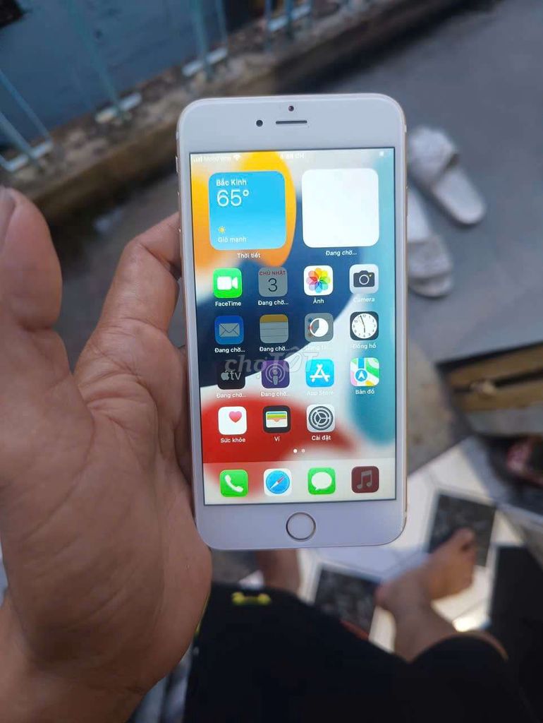 Apple iPhone 6s Plus 64GB Vàng. Mua bán Điện thoại tại Thành phố Thủ Đức Tp Hồ Chí Minh được đăng bởi vỏ hung hình 1