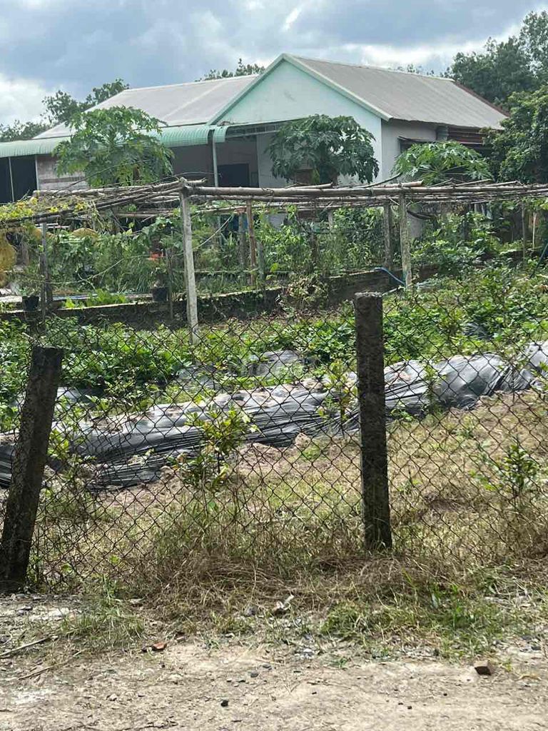 Cần Bán Nhanh Căn Nhà Vườn - Khu Phố 1 - Minh Long - Chơn Thành