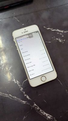 iPhone 5S Vàng Hồng 16GB, Bản Quốc Tế. Mua bán Điện thoại tại Huyện Xuyên Mộc Bà Rịa - Vũng Tàu được đăng bởi Em Khanh